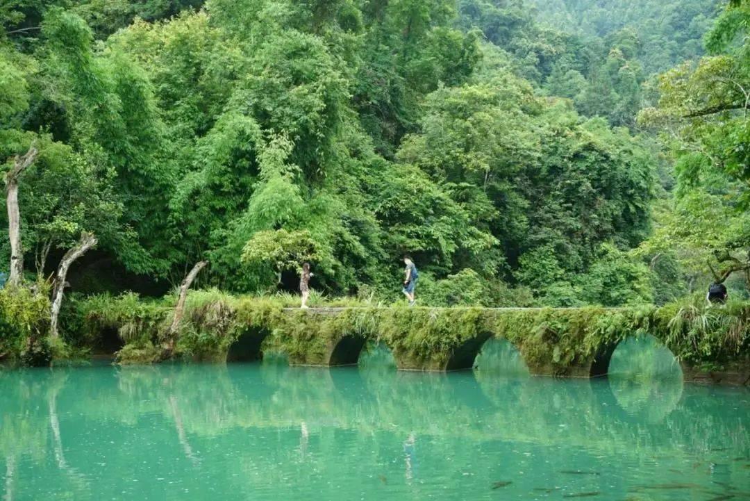 雷竞技比分
